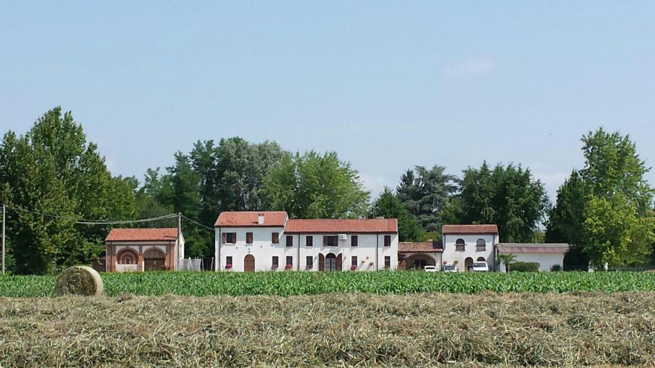 La Casa Delle Rondini Bed and Breakfast Roncoferraro Buitenkant foto